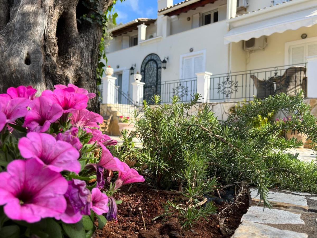 Villa Ampelaki "30 Meters To Beach" Paleokastritsa Eksteriør billede