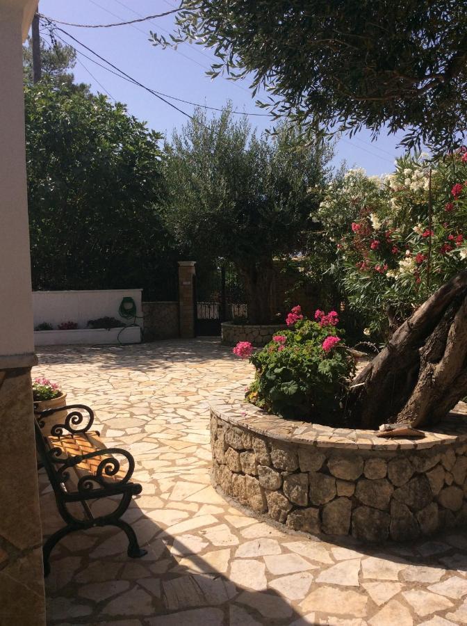 Villa Ampelaki "30 Meters To Beach" Paleokastritsa Eksteriør billede